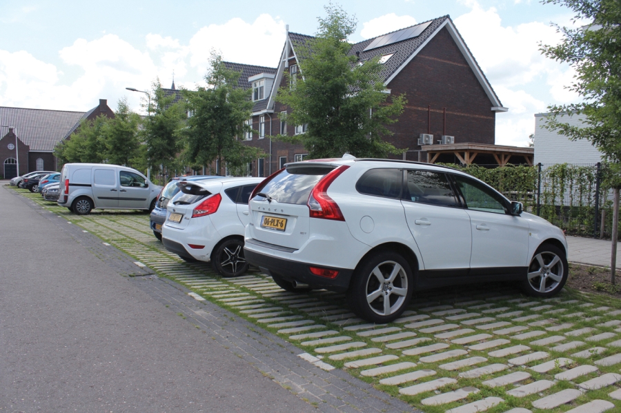 De Groendijck Driebruggen NL