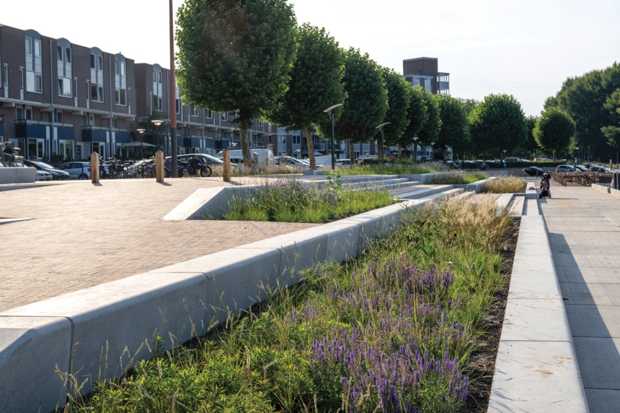 Herinrichting kustgebied Zomerkade Huizen NL 